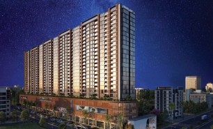 Evolvus By Majestique