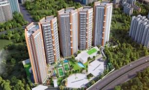 Geras Joy on The Tree Tops 