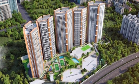 Geras Joy on The Tree Tops 