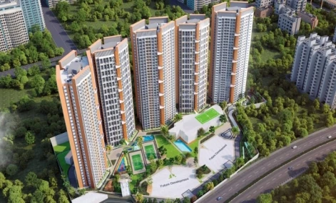 Geras Joy on The Tree Tops 