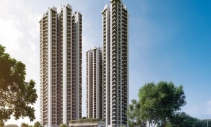 Eldeco Whispers of Wonder