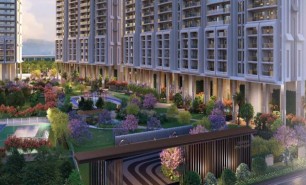 Signature Global De Luxe DXP